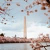 Washington
